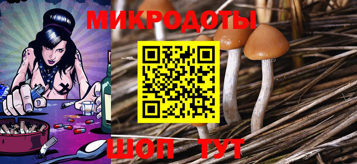 Псилоцибиновые грибы Cubensis  Вход с VPN  дарнет шоп  Черкесск 